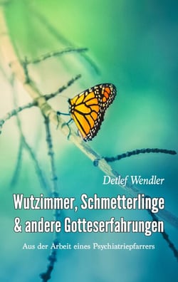 Wutzimmer, Schmetterlinge und andere Gotteserfahrungen - Aus der Arbeit eines Psychiatriepfarrers