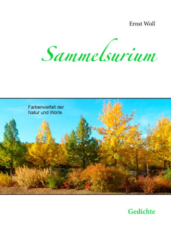 Sammelsurium - Gedichte