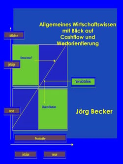 Allgemeines Wirtschaftswissen mit Blick auf Cashflow und Wertorientierung - Projekte, Finanzen, Energie