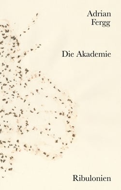 Die Akademie - Novelle