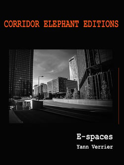 E-spaces - e-book photographique
