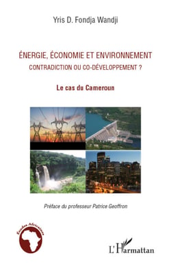 Energie, économie et environnement contradiction ou co-développement ? - Le cas du Cameroun