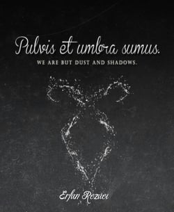 Pulvis et umbra sumus - We are but dust and shadows