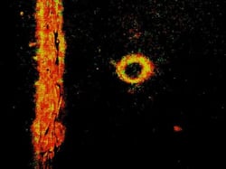 Orangel: The Orange Angel
