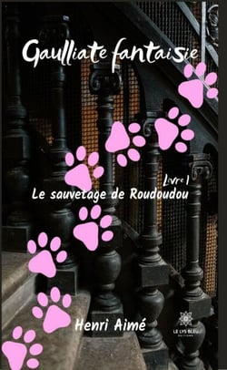 Le sauvetage de Roudoudou - Gaulliate fantaisie - Livre I