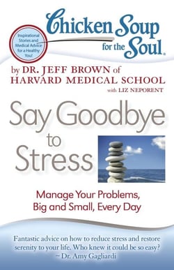 Chicken Soup for the Soul: Say Goodbye to Stress - Manage Your Problems, Big and Small, Every Day