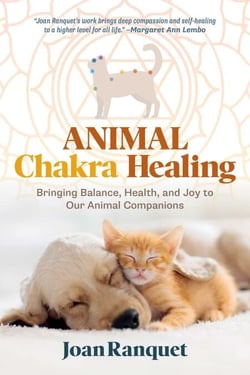 Animal Chakra Healing - Bringing Balance, Health, and Joy to Our Animal Companions
