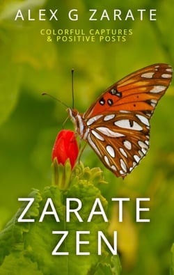 Zarate Zen - Colorful Captures &amp; Positive Posts - Zarate Zen, #2