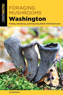 Foraging Mushrooms Washington - Finding, Identifying, and Preparing Edible Wild Mushrooms