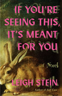 If You're Seeing This, It's Meant for You - A Novel