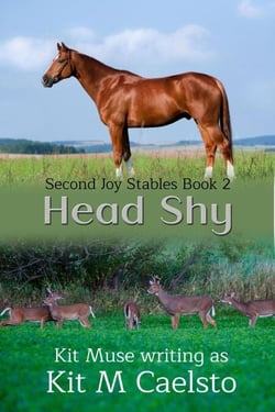 Head Shy - Second Joy, #2