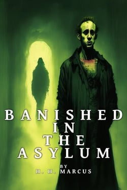 Banished In The Asylum - The Franz Fichte Tales, #3