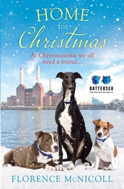 Home for Christmas - the perfect festive feel-good read