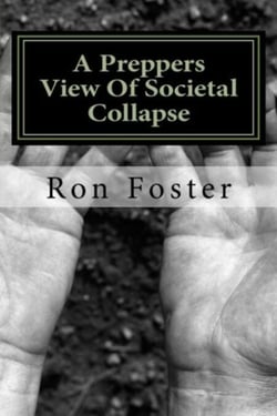 A Preppers View Of Societal Collapse - Prepper Novelettes, #3