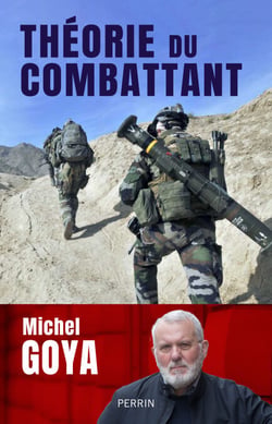 Théorie du combattant