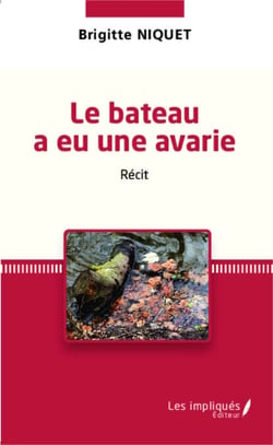Le bateau a eu une avarie - Récit