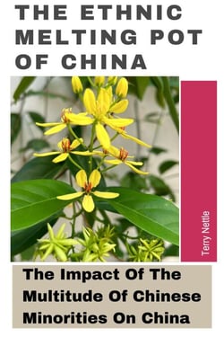 The Ethnic Melting Pot Of China: The Impact Of The Multitude Of Chinese Minorities On China