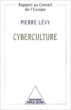 Cyberculture - Rapport au Conseil de l’Europe
