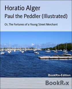 Paul the Peddler (Illustrated) - Or, The Fortunes of a Young Street Merchant
