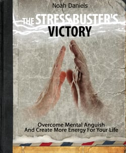 The Stress Buster's Victory - Overcome Mental Anguish And Create More Energy For Your Life