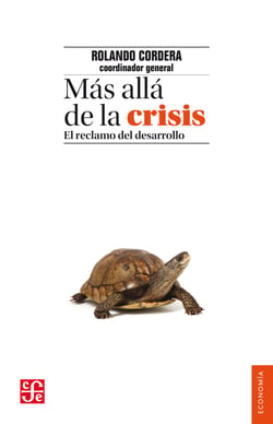 Más allá de la crisis - El reclamo del desarrollo