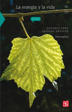 La energía y la vida - Bioenergética