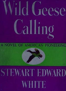 Wild Geese Calling