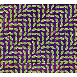 Merriweather post pavillon - CD