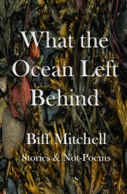 What the Ocean Left Behind