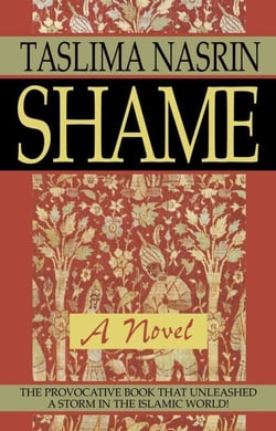Shame - A Novel