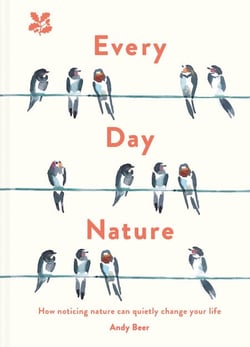 Every Day Nature - How noticing nature can quietly change your life