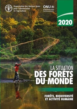 La situation des forêts du monde 2020: Forêts, biodiversité et activité humaine