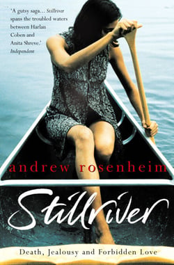 Stillriver - A beautifully written, suspenseful novel, perfect for fans of Sebastian Faulks