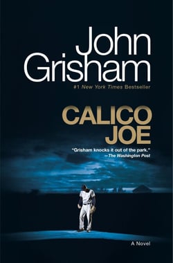 Calico Joe - A Novel