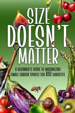 Size Doesn't Matter