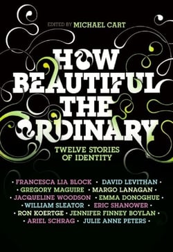 How Beautiful the Ordinary - Twelve Stories of Identity