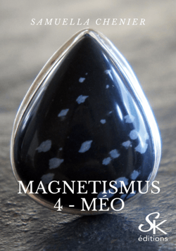 Magnetismus 4 - Méo