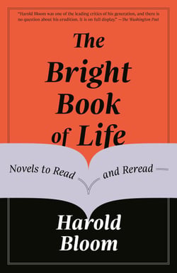 The Bright Book of Life - Novels to Read and Reread