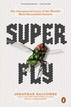 Super Fly - The Unexpected Lives of the World's Most Successful Insects