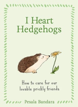 I Heart Hedgehogs - How to care for our lovable prickly friends