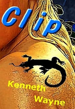 Clip