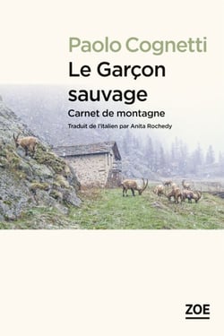 Le Garçon sauvage - Carnet de montagne