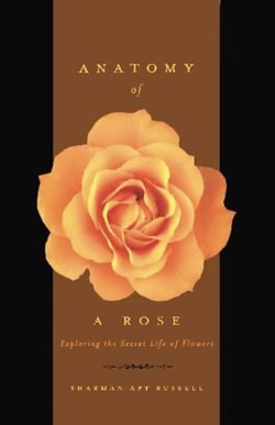 Anatomy Of A Rose - Exploring The Secret Life Of Flowers