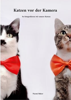 Katzen vor der Kamera - So fotografieren wir unsere Katzen