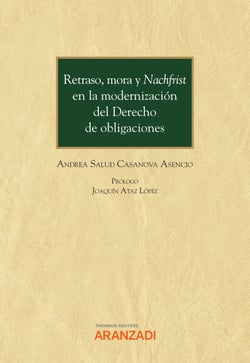 Retraso, mora y Nachfrist en la modernización del Derecho de obligaciones