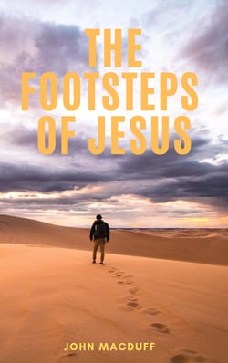 The Footsteps of Jesus - Things to be sought and things to be shunned