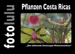 Pflanzen Costa Ricas - Der blühende Dschungel Mittelamerikas