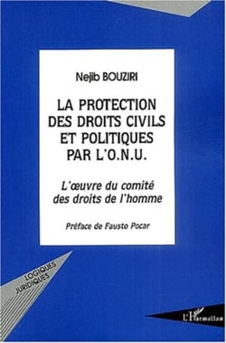 La Protection des droits civils et politiques par l'O.N.U. - L'oeuvre du comité des droits de l'homme