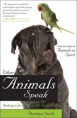 When Animals Speak - Techniques for Bonding With Animal Companions