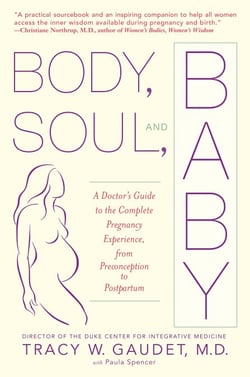 Body, Soul, and Baby - A Doctor's Guide to the Complete Pregnancy Experience, From Preconception to Postpartum